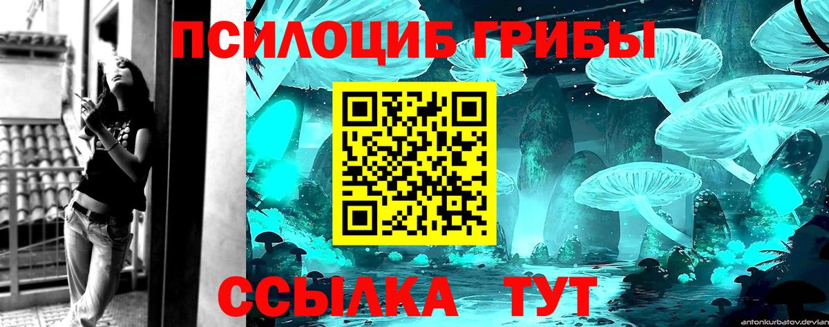 Городец  Псилоцибиновые грибы Psilocybine cubensis  Вход с VPN  Псилоцибиновые грибы Psilocybine cubensis 