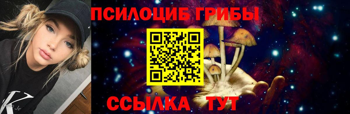Псилоцибиновые грибы Psilocybe Городец